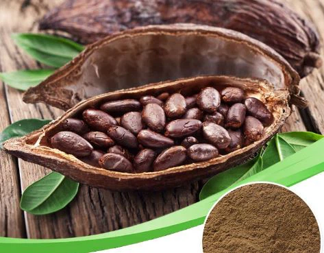 Theobromine